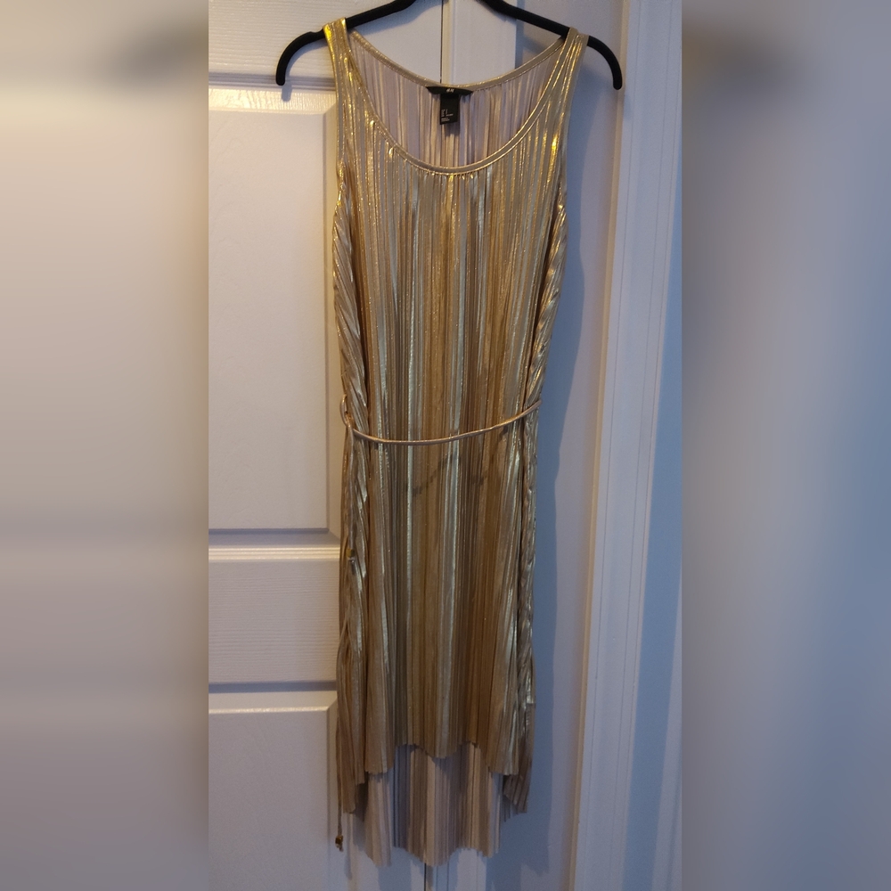 💥NWOT💥Gold Metallic Dress with Removable Sash/belt
